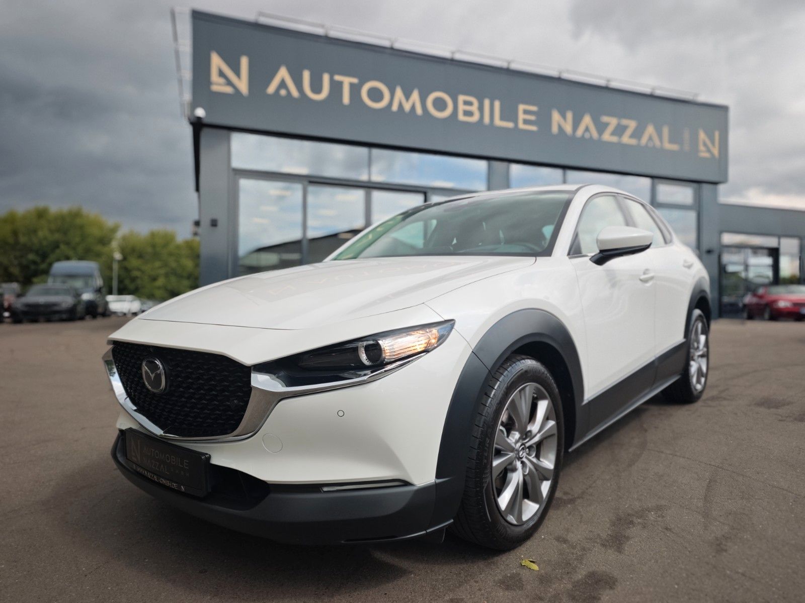 Fahrzeugabbildung Mazda CX-30 SELECTION*1.HD*360 VIEW*LED*ASSIST PAKET*