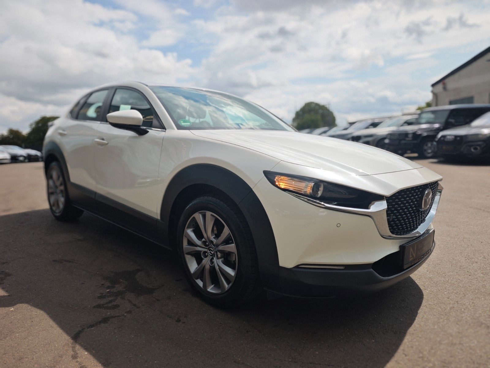 Fahrzeugabbildung Mazda CX-30 SELECTION*1.HD*360 VIEW*LED*ASSIST PAKET*