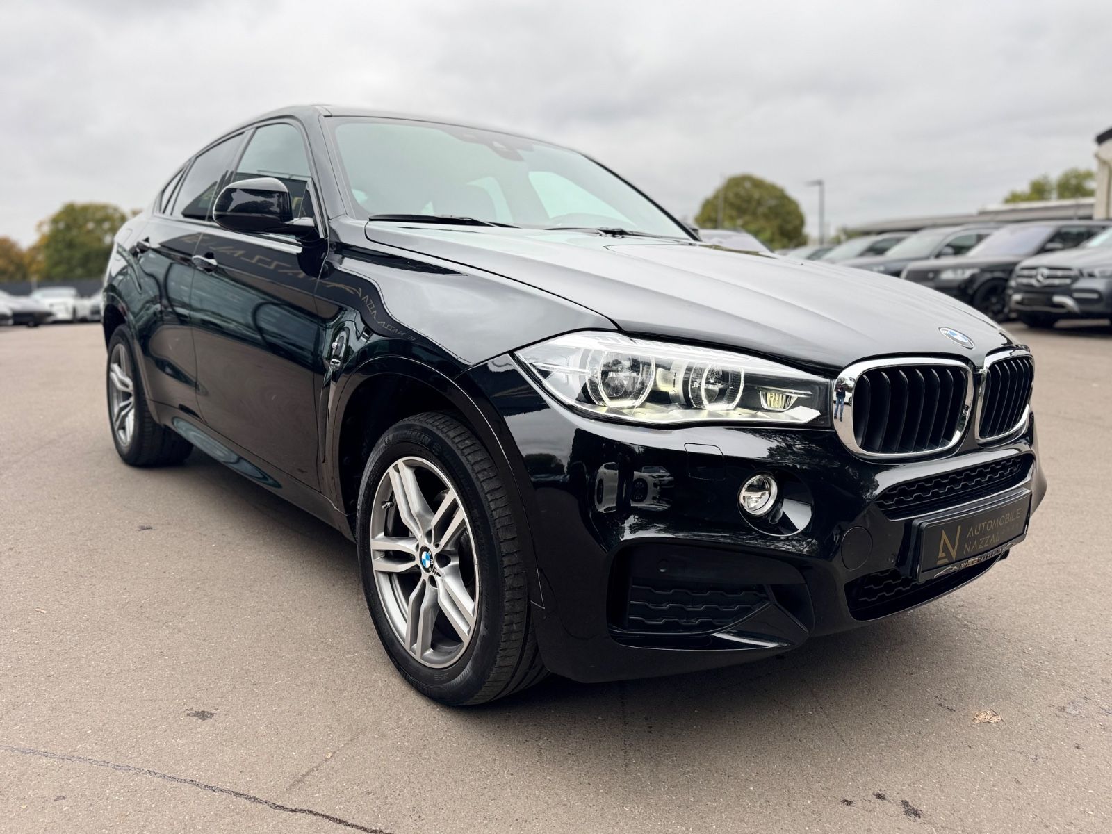 Fahrzeugabbildung BMW X6 XDrive 30 D M-PAKET*NAVI*PANORAMA*R-KAMERA*