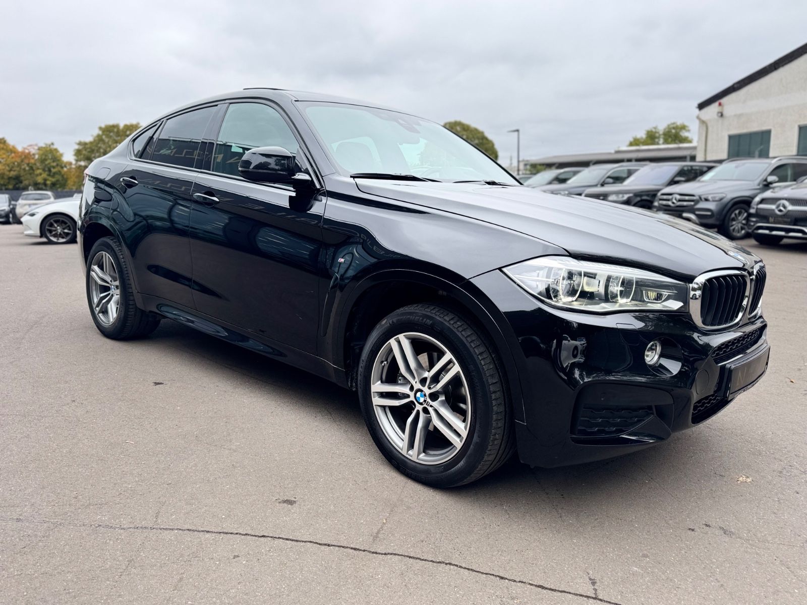 Fahrzeugabbildung BMW X6 XDrive 30 D M-PAKET*NAVI*PANORAMA*R-KAMERA*