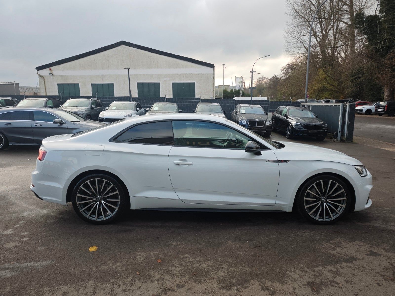 Fahrzeugabbildung Audi A5 COUPE 40TDI*S-LINE SPORT+*LED*ALCANTARA*VIRTU