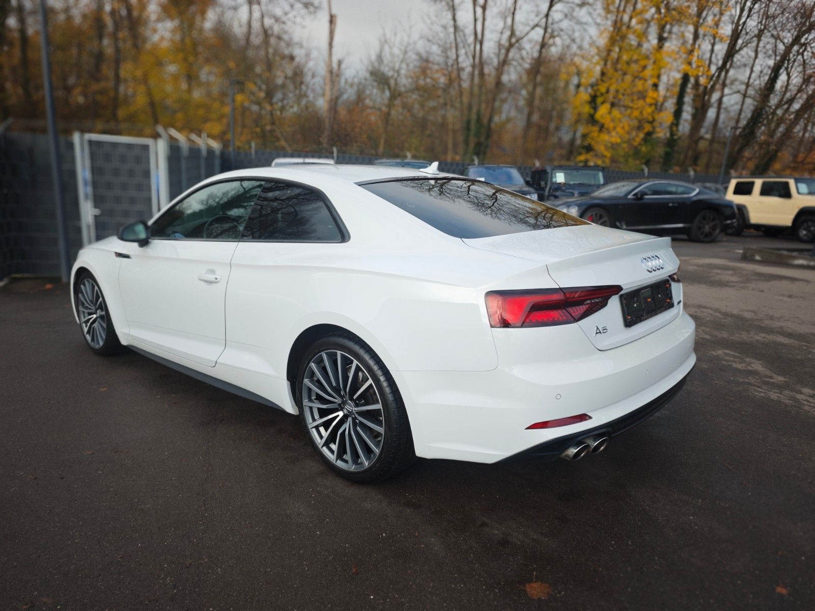 Fahrzeugabbildung Audi A5 COUPE 40TDI*S-LINE SPORT+*LED*ALCANTARA*VIRTU