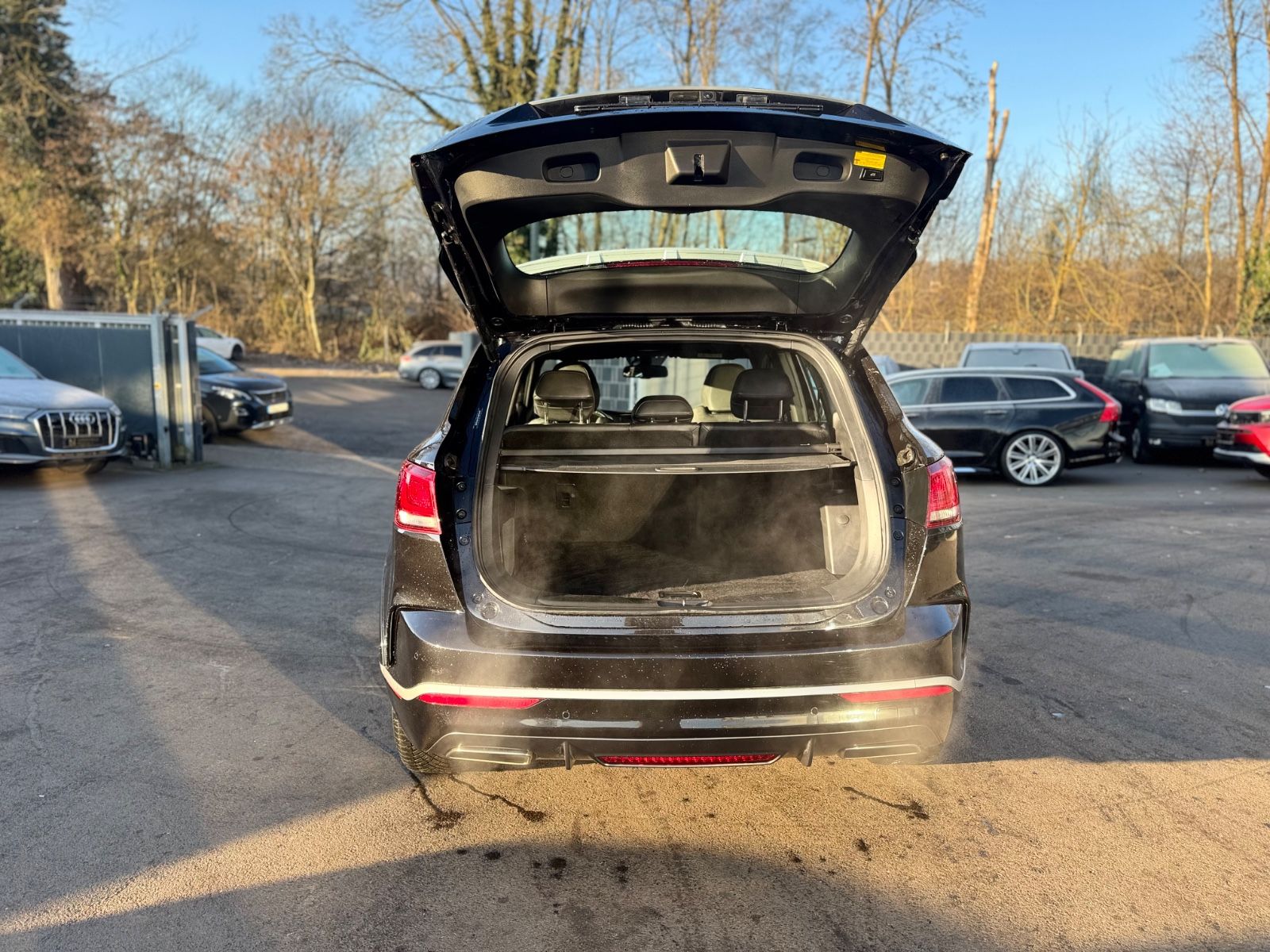 Fahrzeugabbildung Borgward BX7 TS LIMITED EDITION*PANO*LEDER*360 KAMERA*TOP