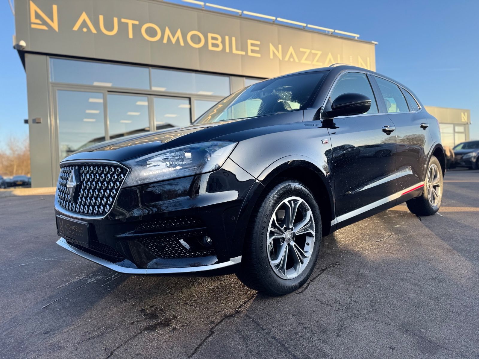 Fahrzeugabbildung Borgward BX7 TS LIMITED EDITION*PANO*LEDER*360 KAMERA*TOP