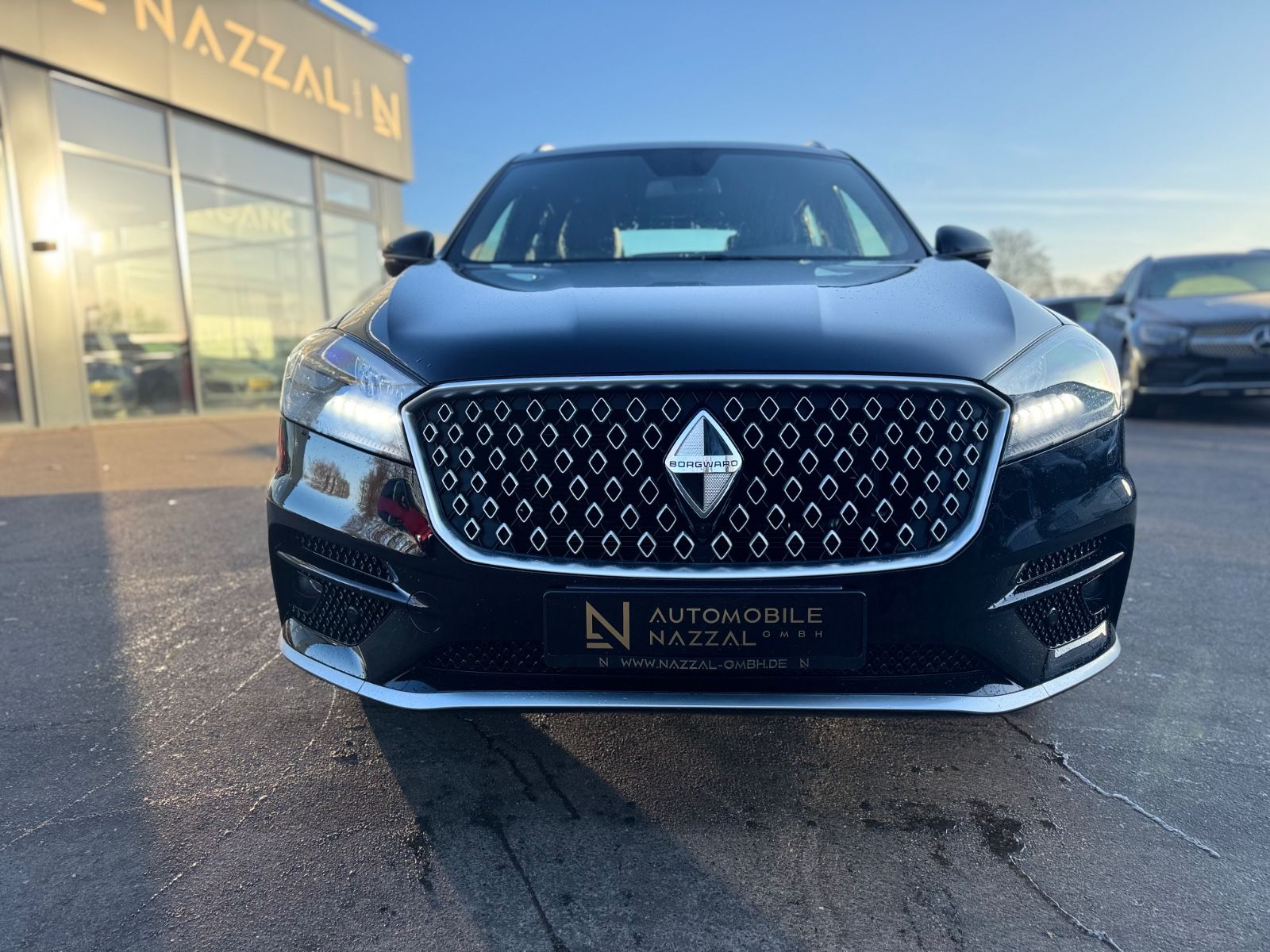 Fahrzeugabbildung Borgward BX7 TS LIMITED EDITION*PANO*LEDER*360 KAMERA*TOP