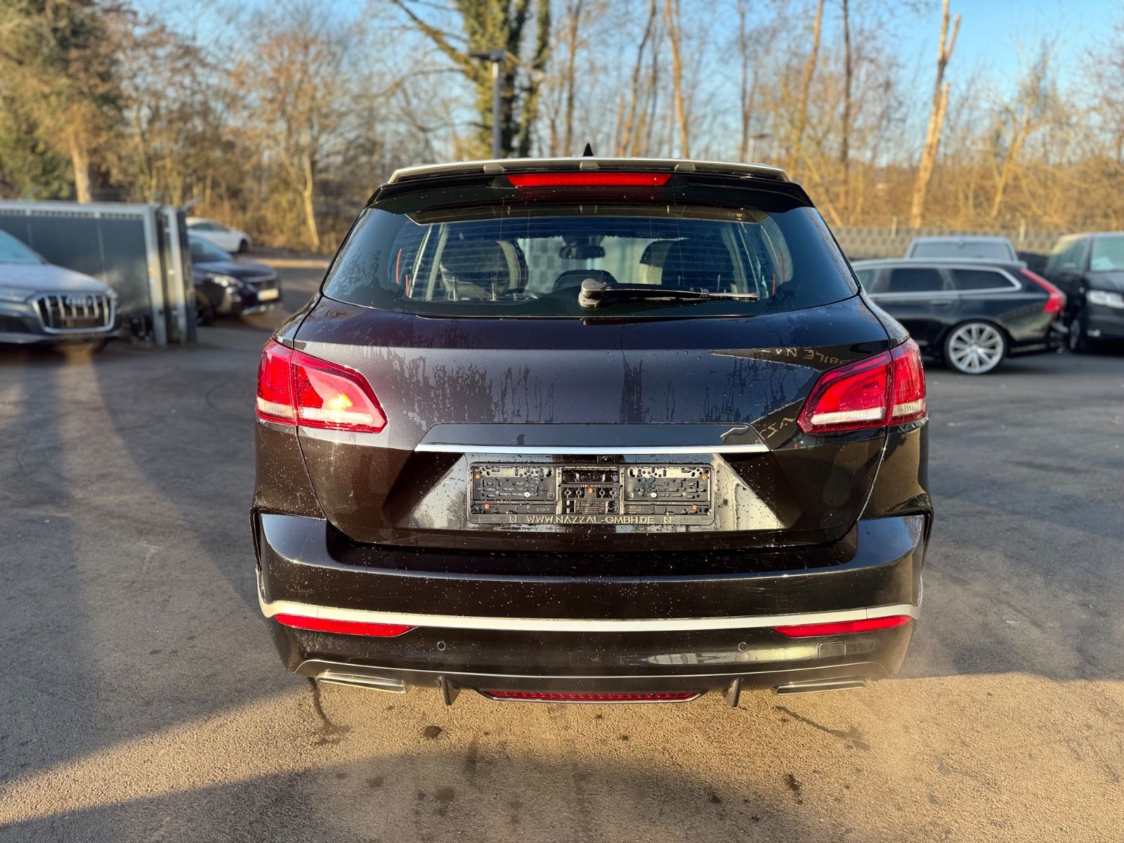 Fahrzeugabbildung Borgward BX7 TS LIMITED EDITION*PANO*LEDER*360 KAMERA*TOP