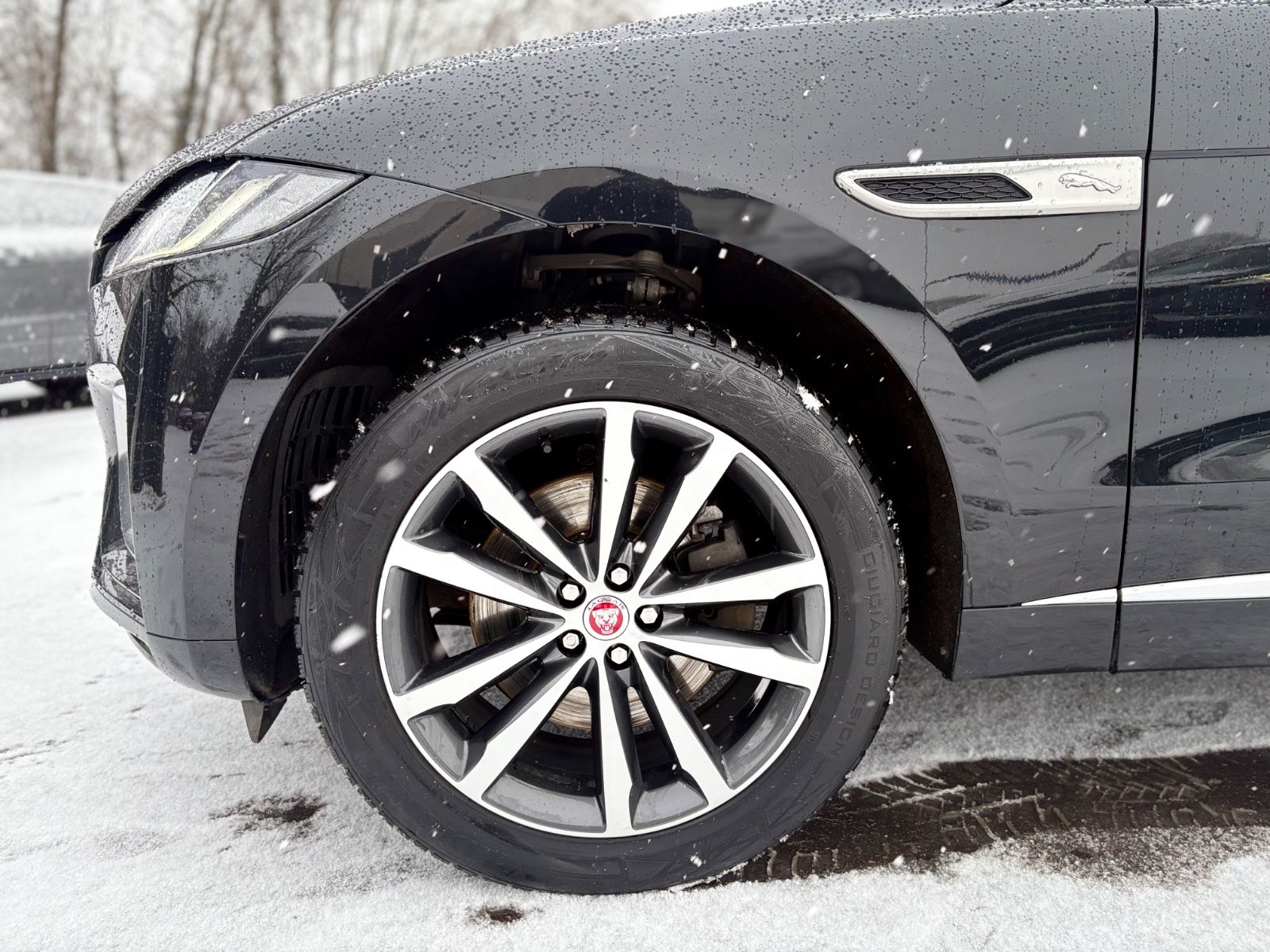 Fahrzeugabbildung Jaguar F-PACE R-DYNAMIC AWD*AUT*1.HD*PANO*LED*EL.AHK*