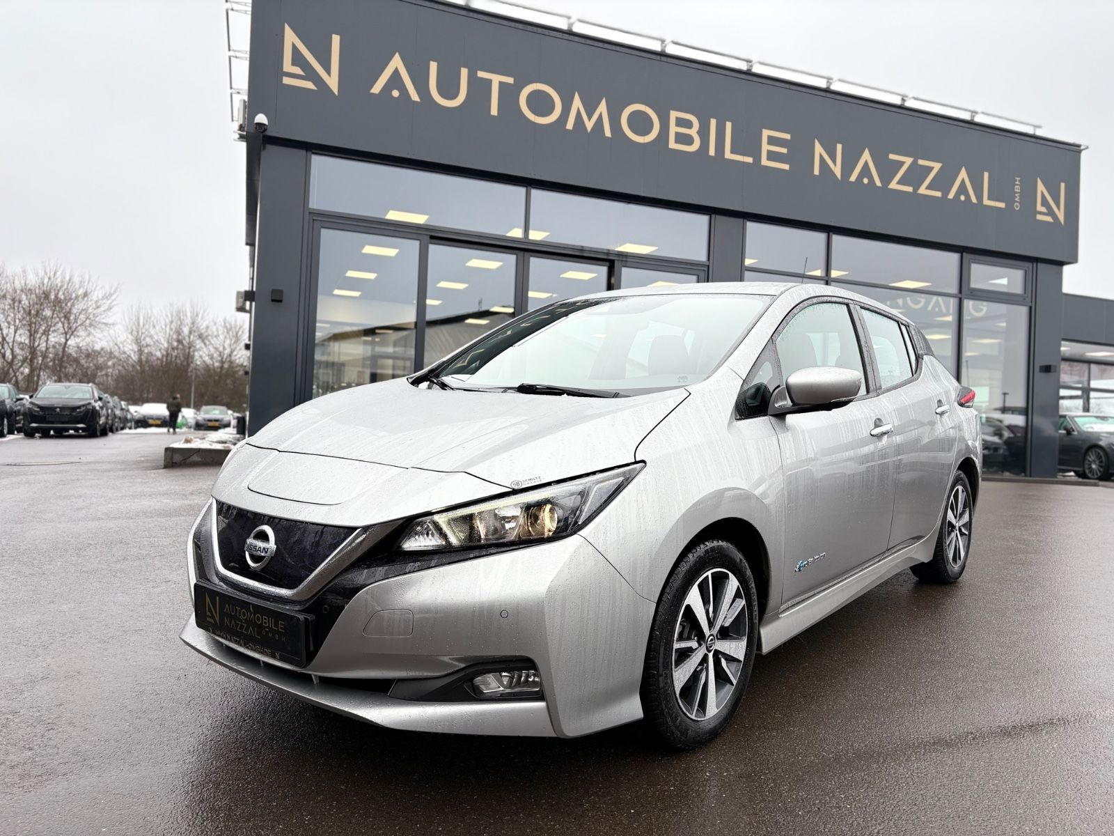 Nissan LEAF *360° KAMERA*NAVIGATION*