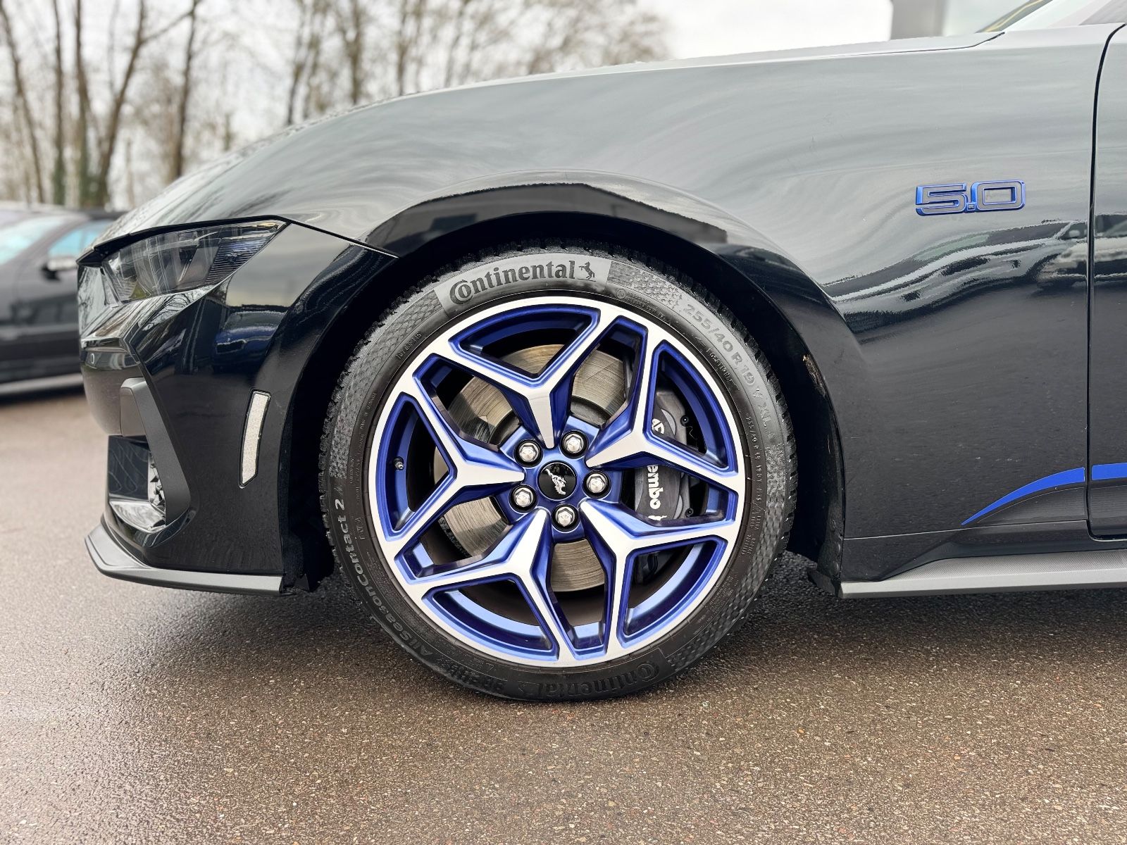 Fahrzeugabbildung Ford MUSTANG CABRIO 5.0 Ti-VCT GT* CS/CALI SPECIAL*