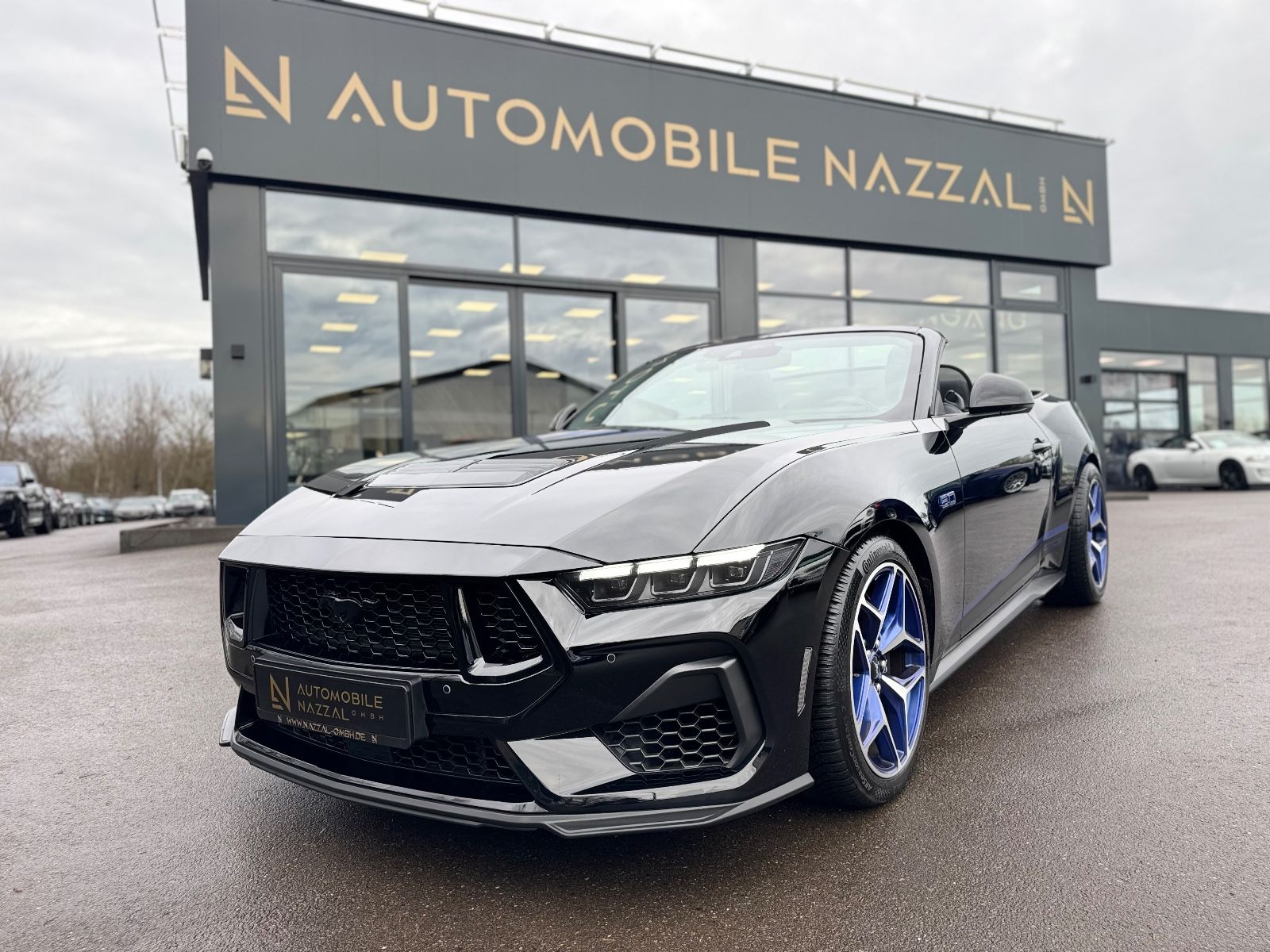 Fahrzeugabbildung Ford MUSTANG CABRIO 5.0 Ti-VCT GT* CS/CALI SPECIAL*