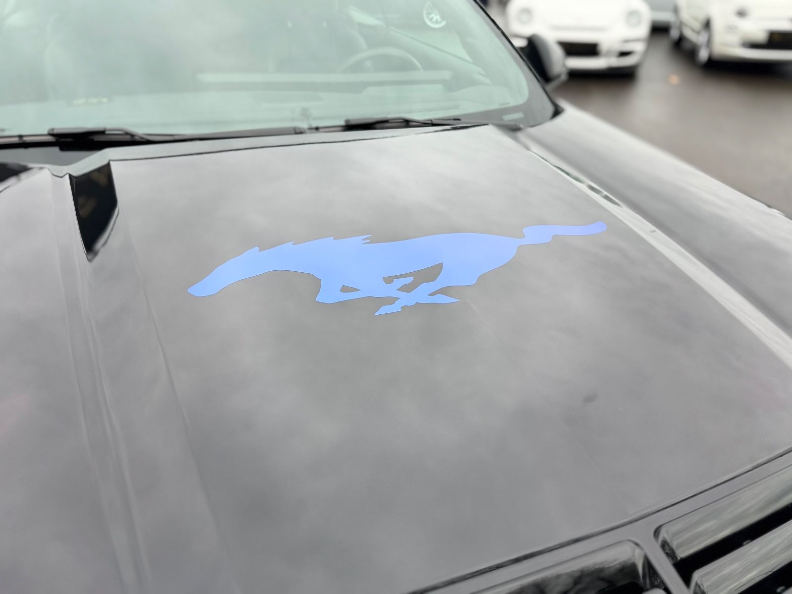 Fahrzeugabbildung Ford MUSTANG CABRIO 5.0 Ti-VCT GT* CS/CALI SPECIAL*