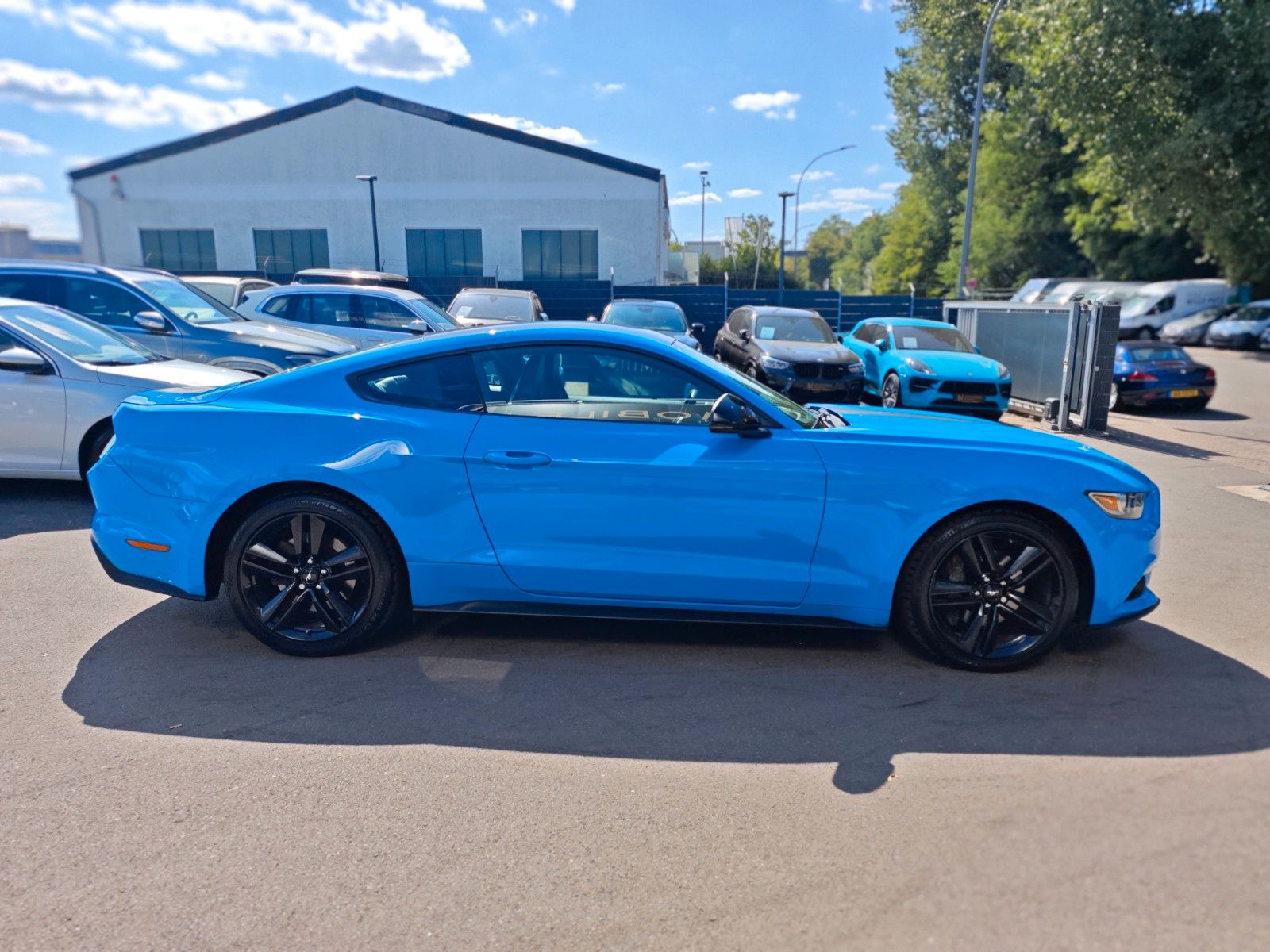 Fahrzeugabbildung Ford MUSTANG GT *EU-MODELL*COC*NAVI*KAMERA*