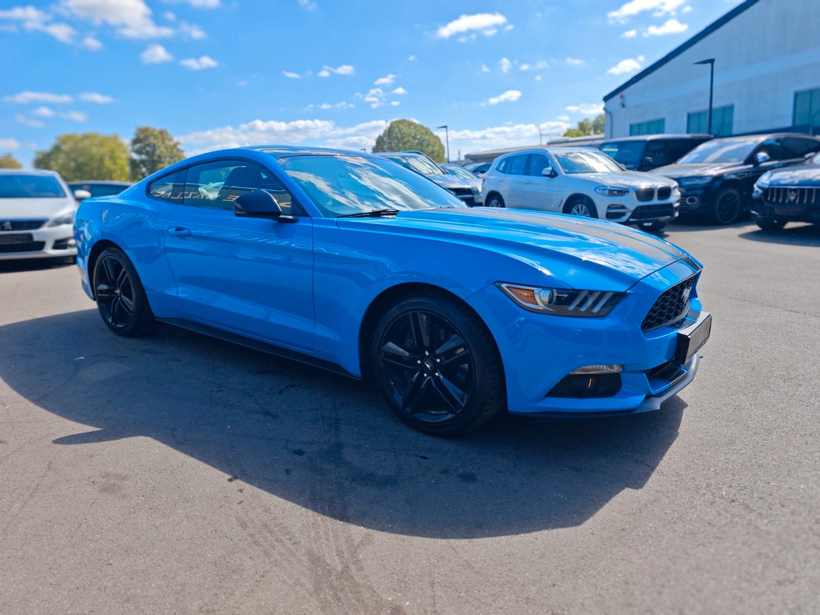 Fahrzeugabbildung Ford MUSTANG GT *EU-MODELL*COC*NAVI*KAMERA*