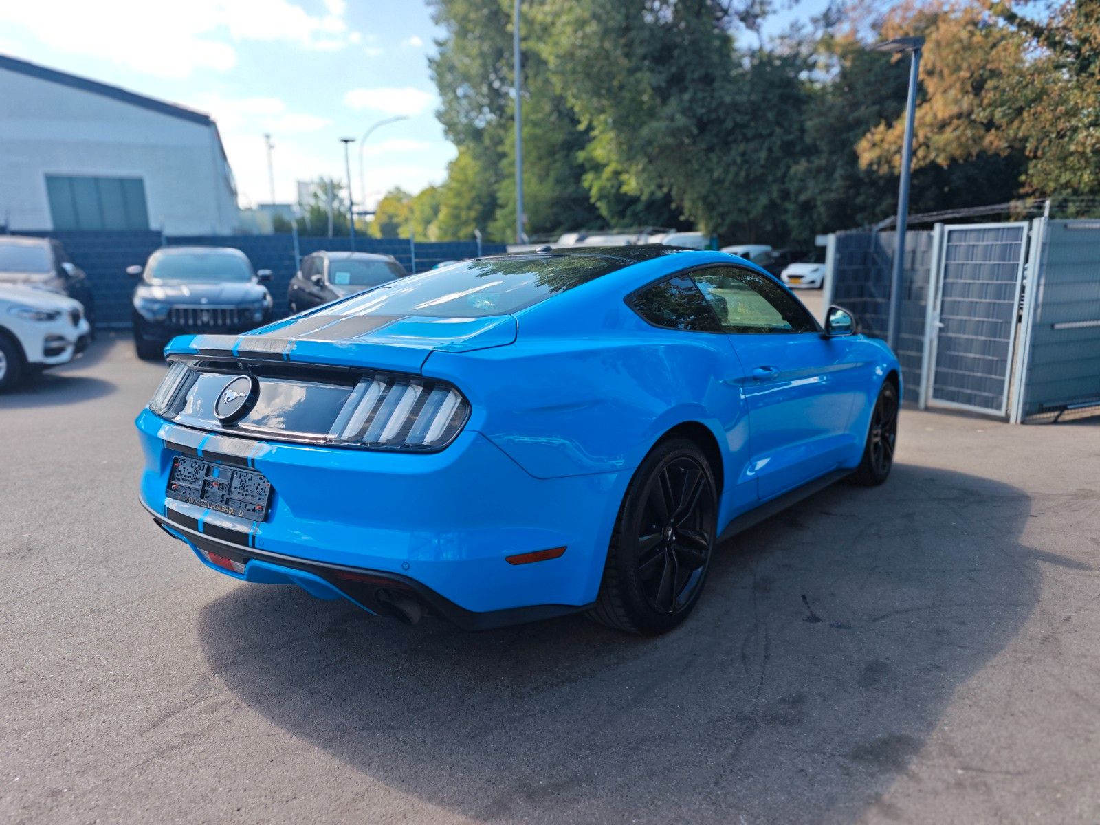 Fahrzeugabbildung Ford MUSTANG GT *EU-MODELL*COC*NAVI*KAMERA*