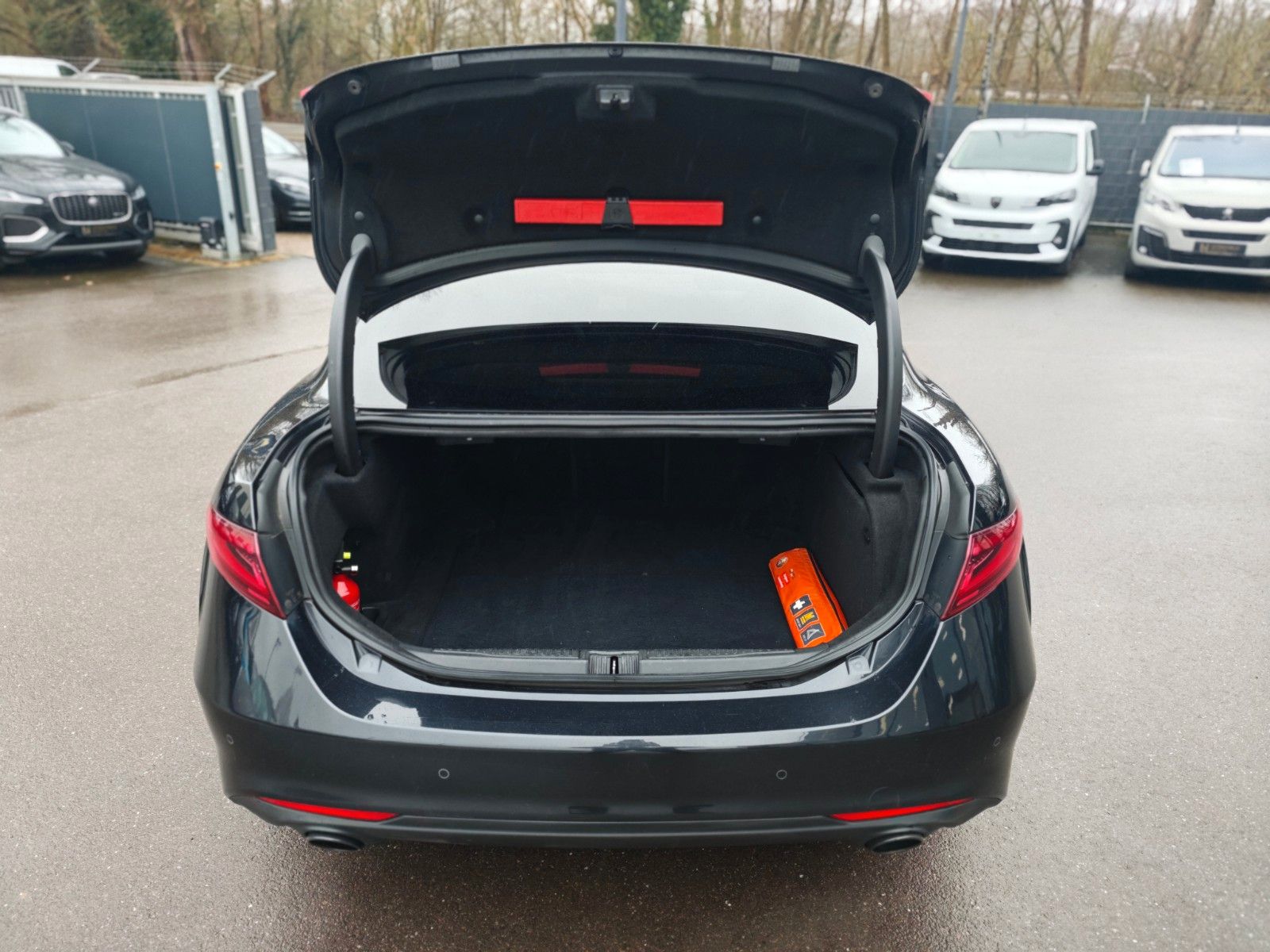 Fahrzeugabbildung Alfa Romeo GIULIA BLACK-TECH*AUT*2.HD*ALCANTARA*NAVI*PDC*