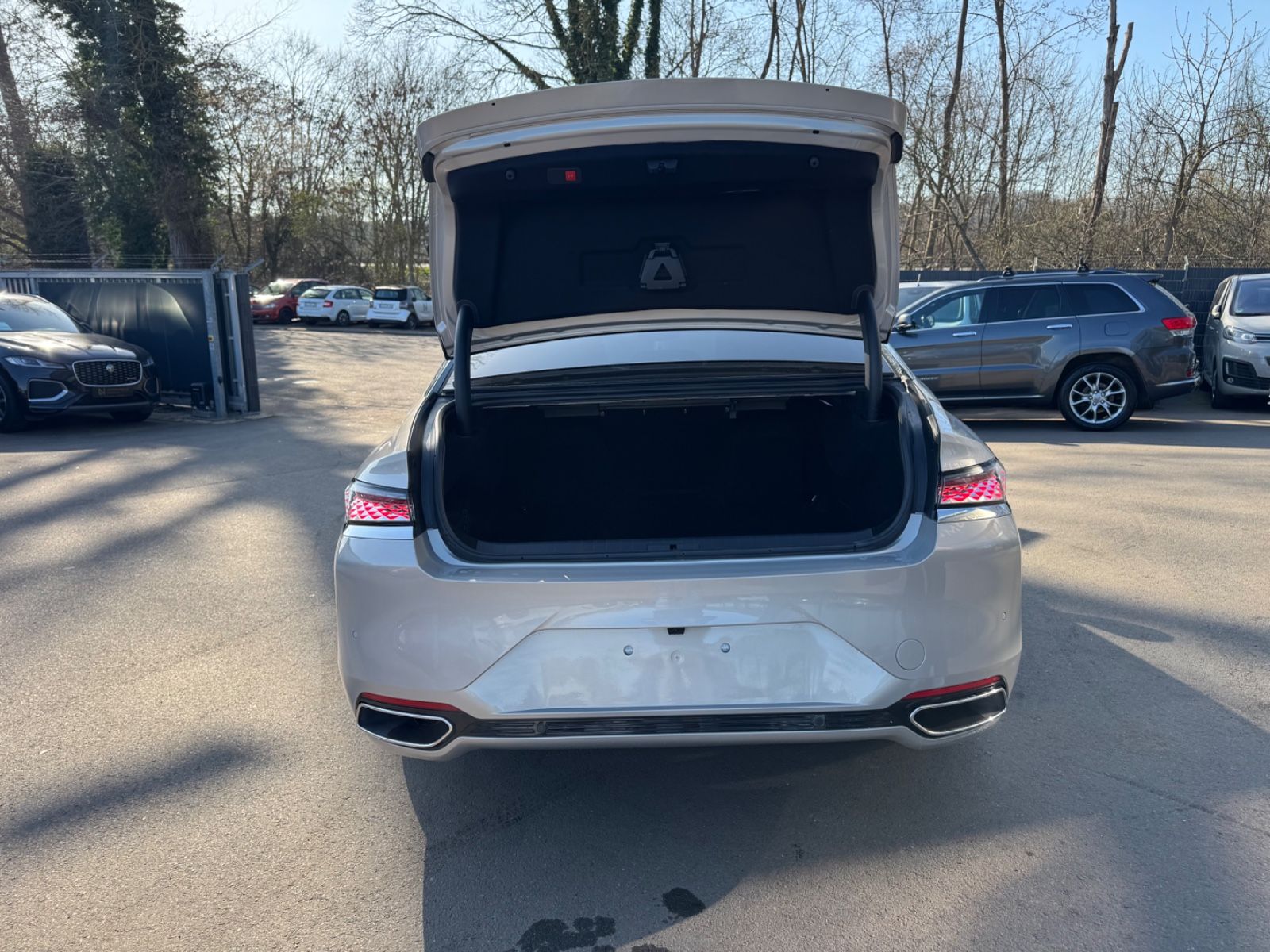 Fahrzeugabbildung DS Automobiles DS9 E-TENSE 250 kW RIVOLI +*LED*NAVI*PANORAMA*1