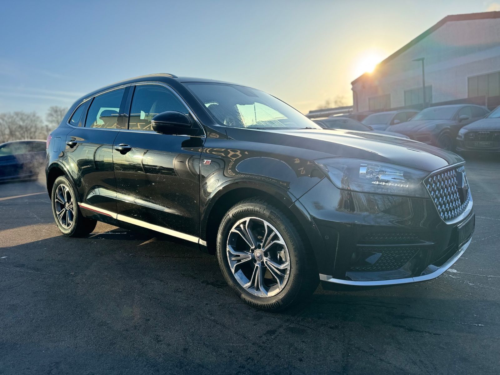 Fahrzeugabbildung Borgward BX7 TS LIMITED EDITION*PANO*LEDER*360 KAMERA*TOP