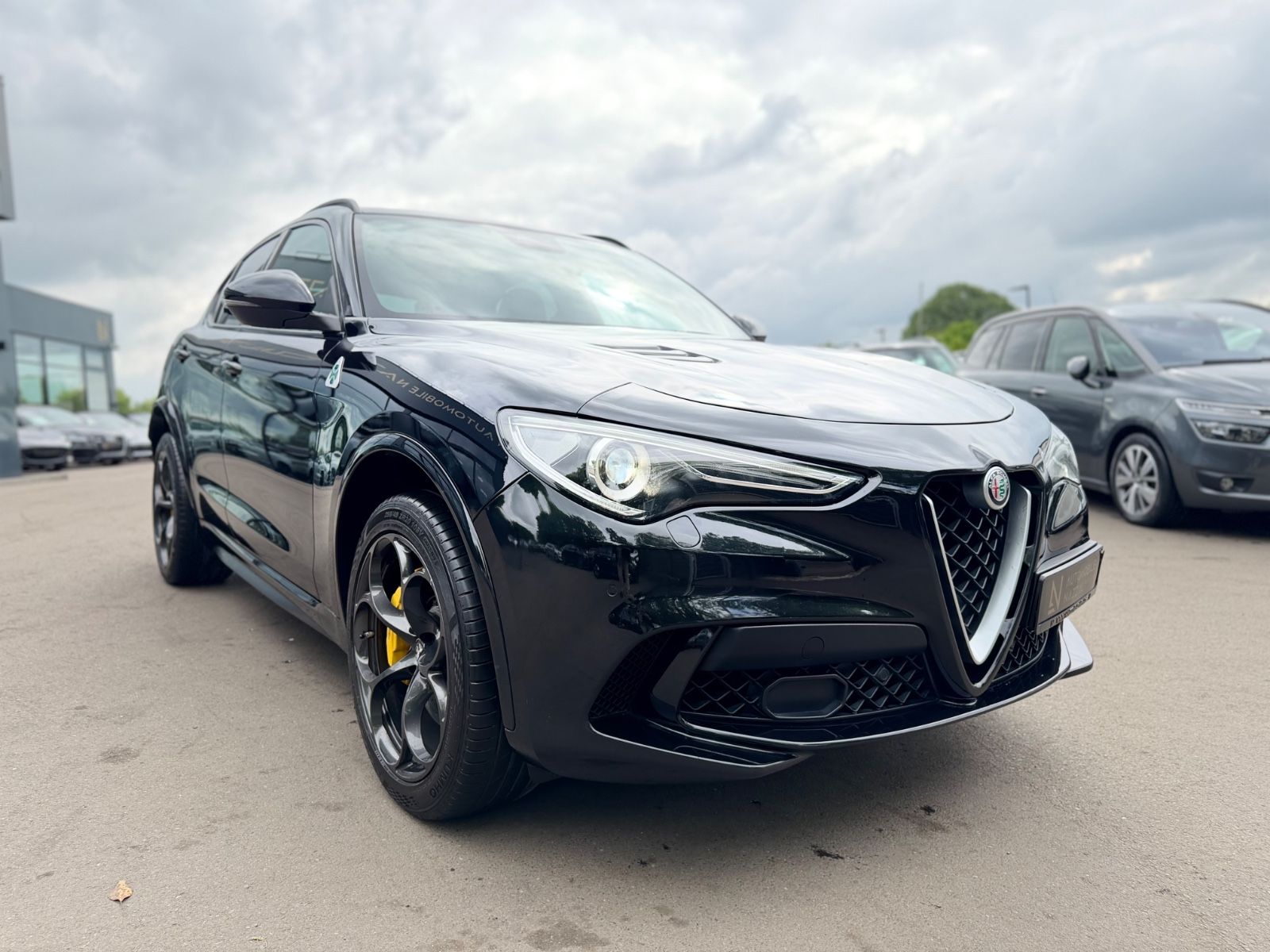 Fahrzeugabbildung Alfa Romeo STELVIO QUADRIFOGLIO Q4 *CARBON*H&K*KAMERA*TOP*